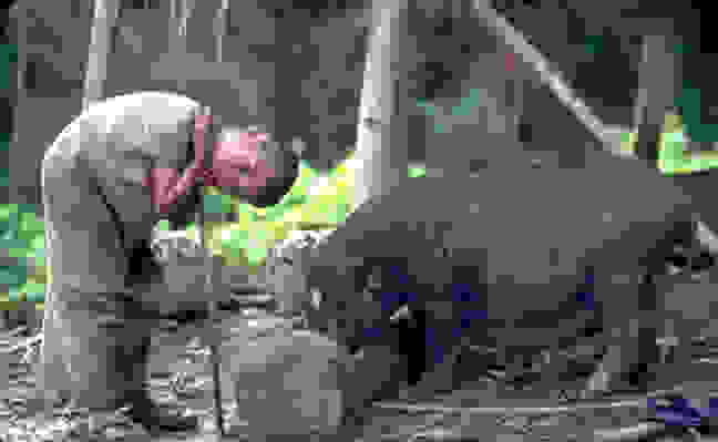 fumthail4.jpg