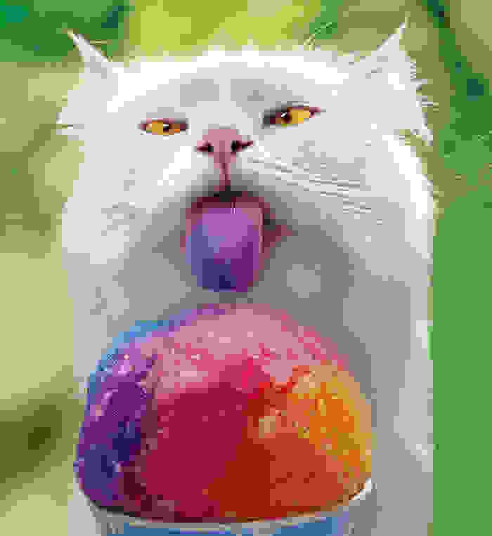 funny-and-happy-animals_100dc48cfe9ec6e46a1d12ba32c01049.jpg