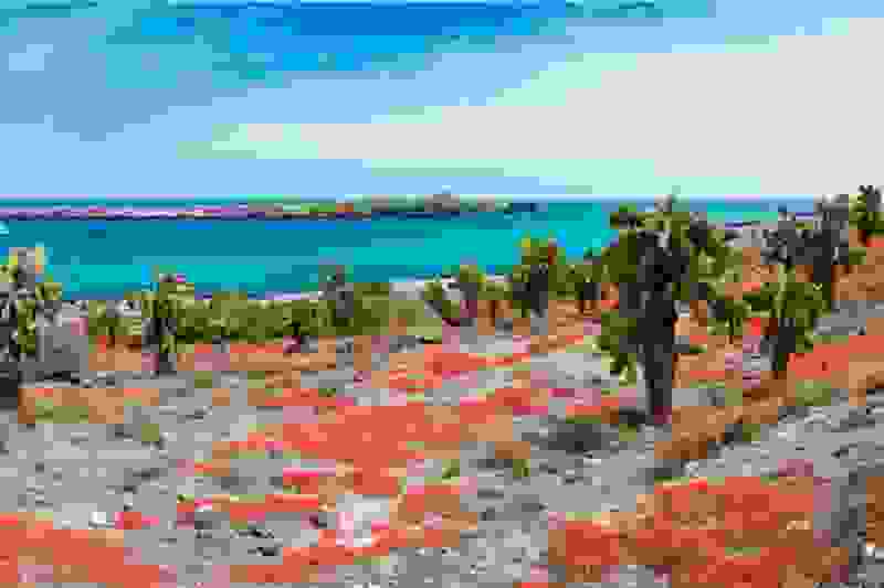 galapagos-islands80.jpg