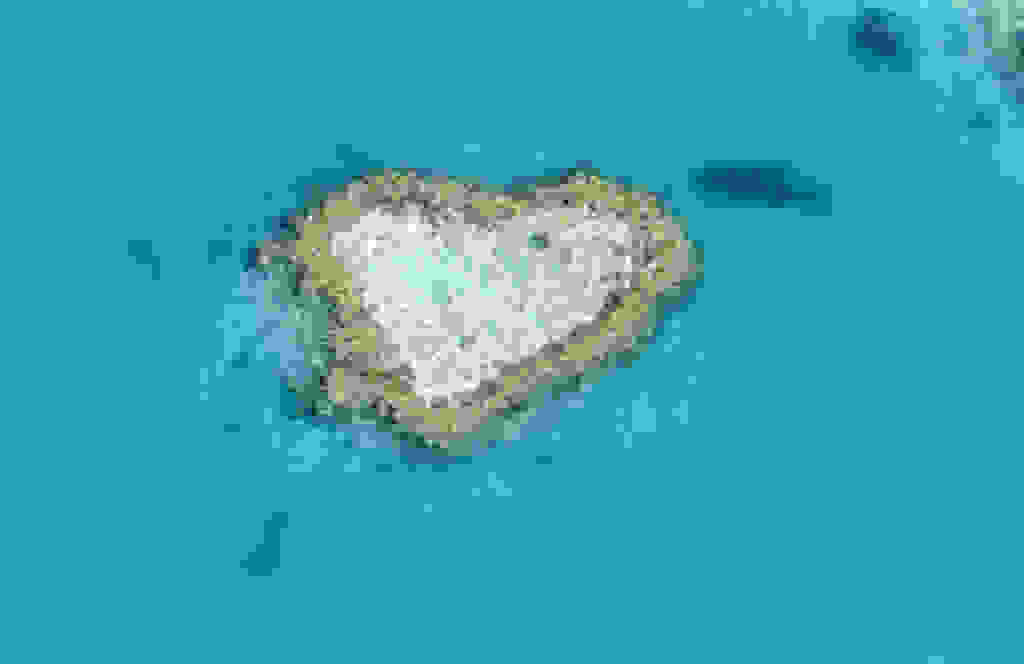 2349912468 a537dfd11e b