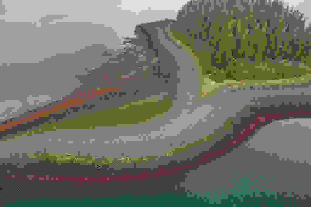 5182063336 fb017e873d b