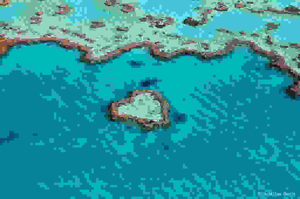 7106610137 0b81fd2201 b