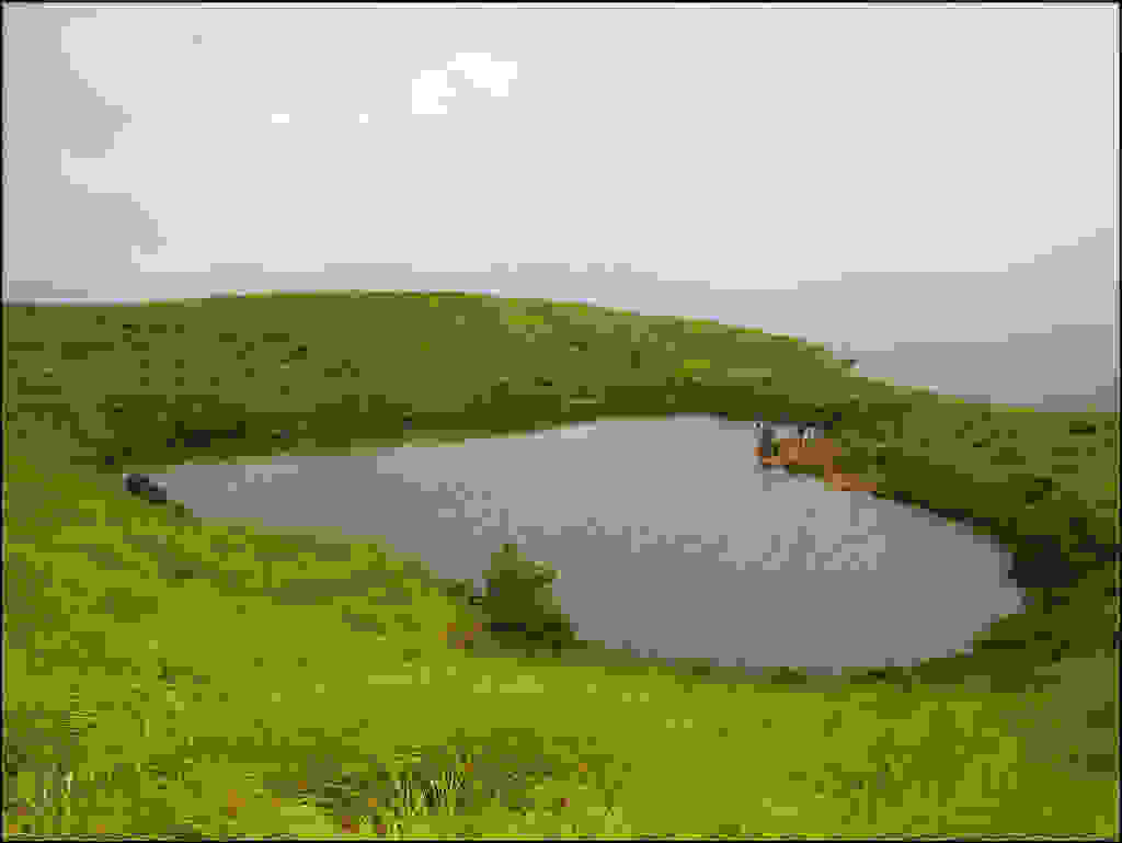 9581145719 9607eac9c8 b