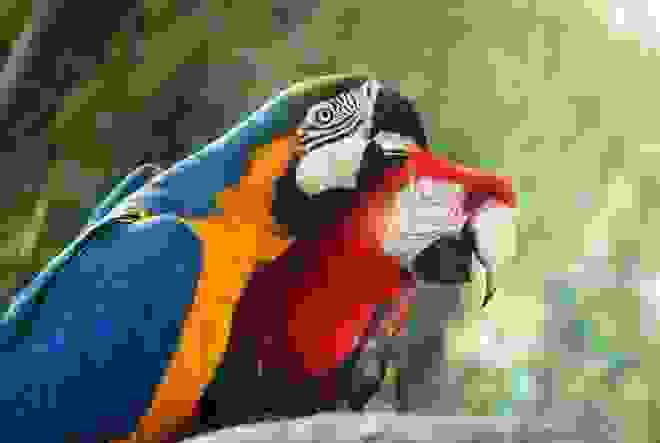 article-2566885-1BC7A68B00000578-982 964x683