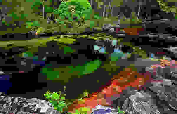 topio24