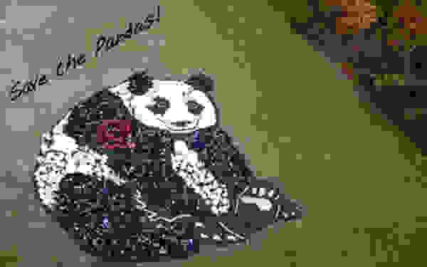 dd1