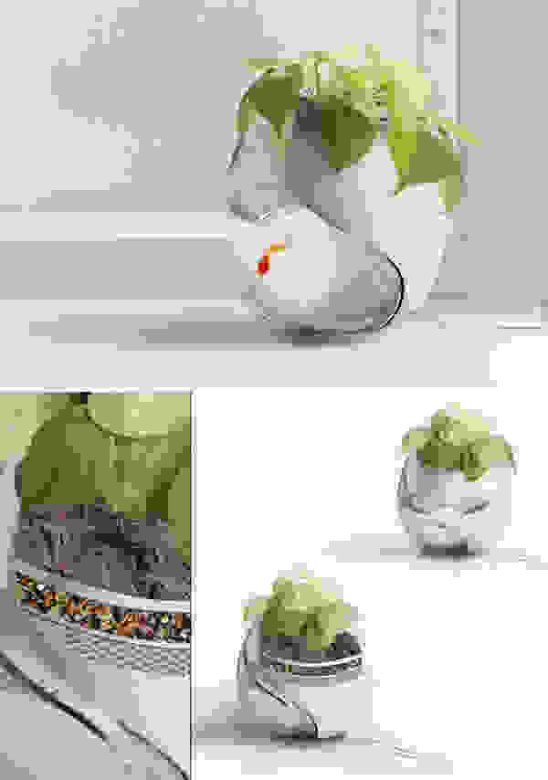 descthings5