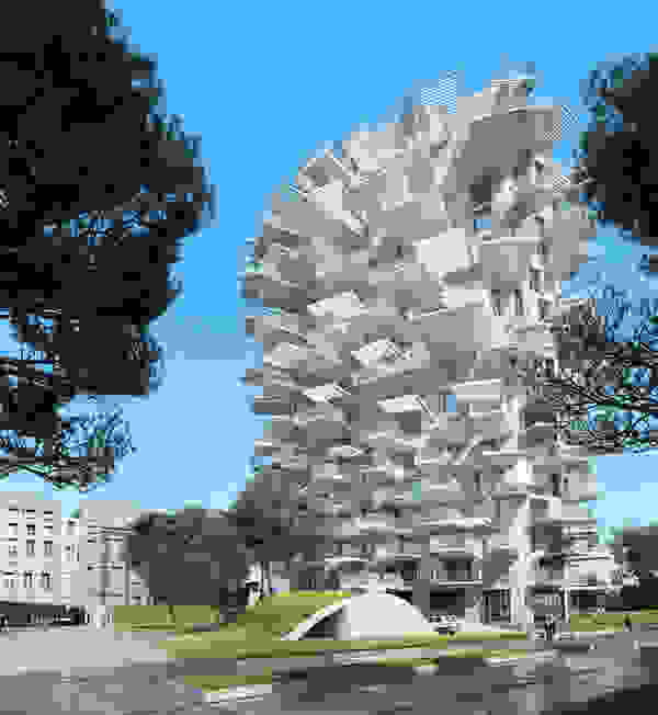 fujimoto3