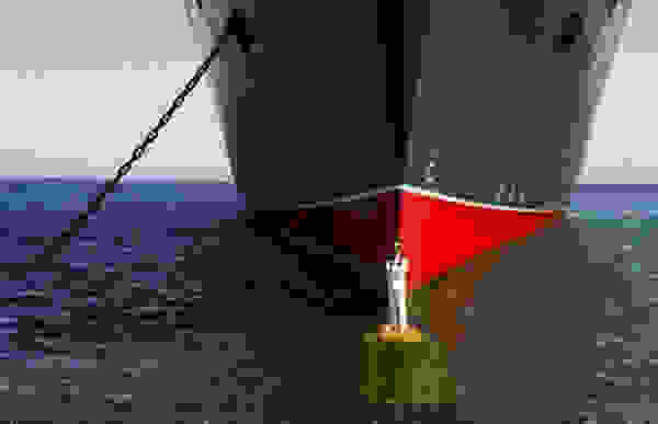 qmary1