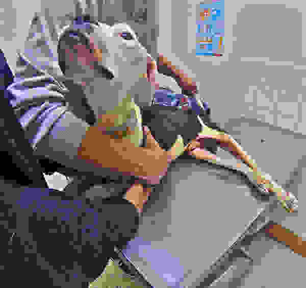 thor3