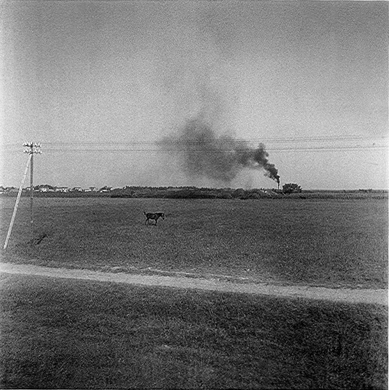 o fotografos giorgos seferis 