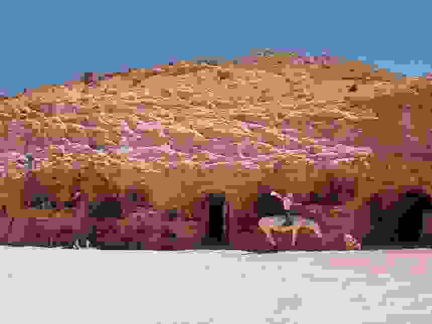 859x644xcooperbedycave.jpg.pagespeed.ic.nxW11mitpv