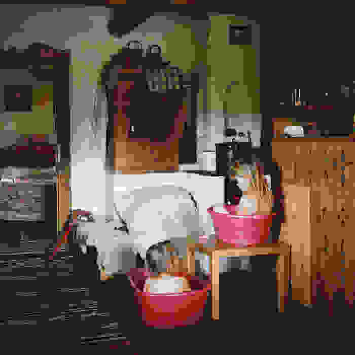 Bruy-05