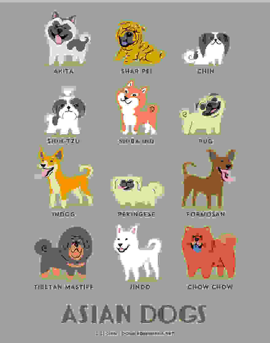 Dogs-Of-The-World-Cute-Poster-Series-Shows-The-Geographic-Origin-Of-Dog-Breeds1  880