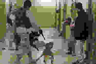 abughraib6
