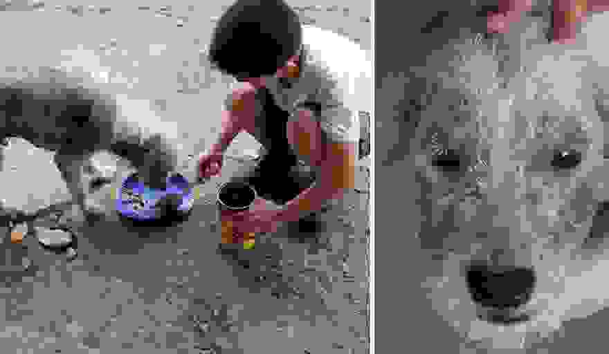 adespotaki4
