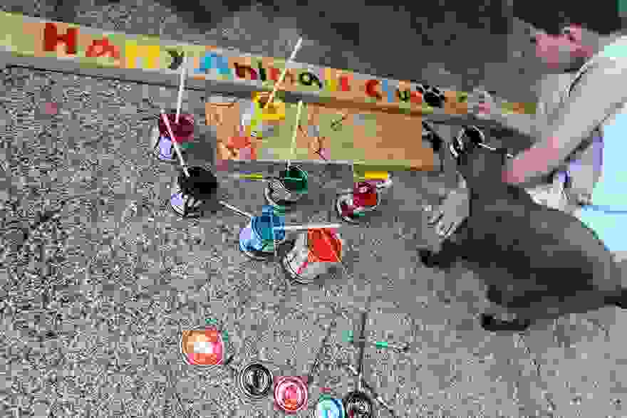adespotaki6