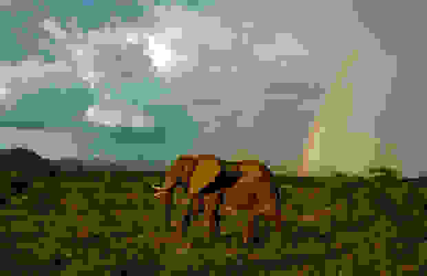 afriki0