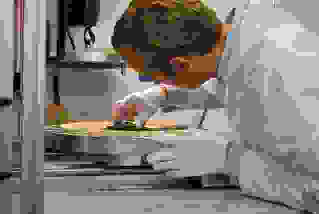 aloganza2
