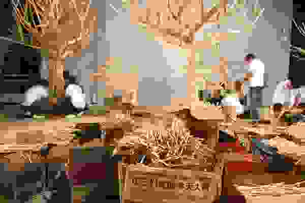 chopsticks-tree-06