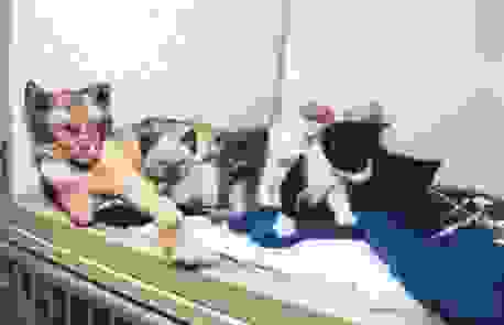 d08352c186829148c8bcf716462a6aa1 M