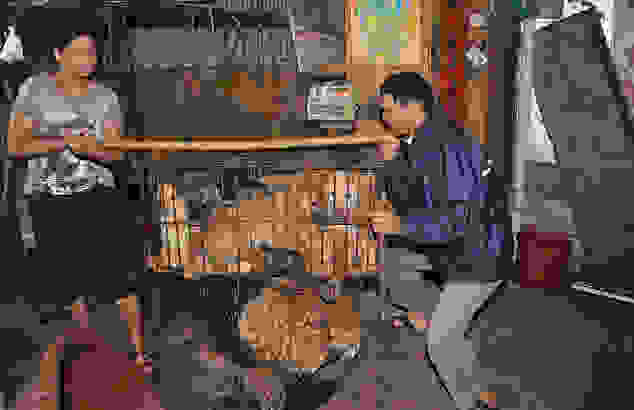 dog7