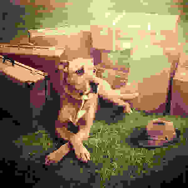 enchanced15