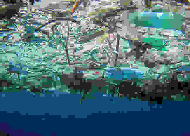 falfoorofiqaayr6