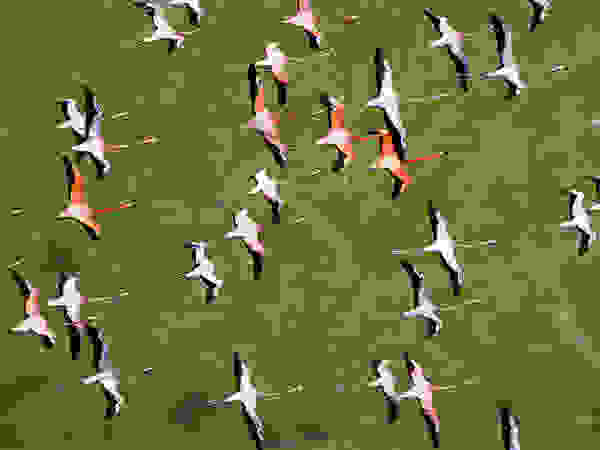 galapagos5