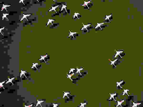 galapagos7