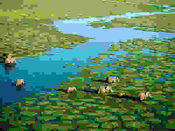 galapagos8