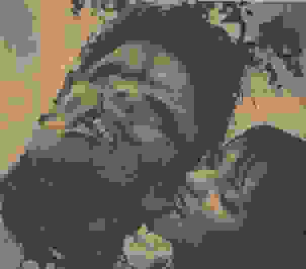 gyrismata-diasimwn-tainiwn-tromou-18