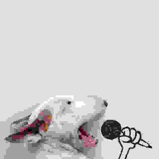 jimmy-choo-bull-terrier-illustrations-rafael-mantesso-1