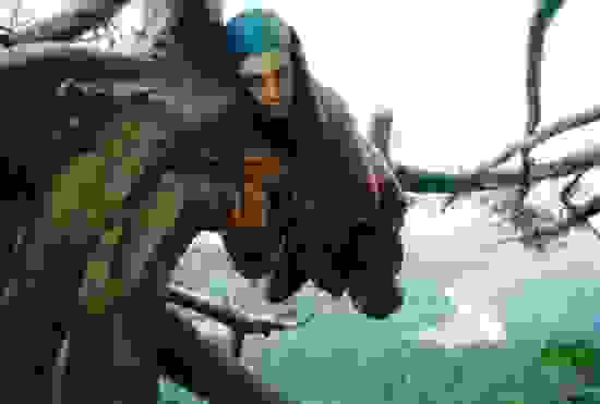 julia2