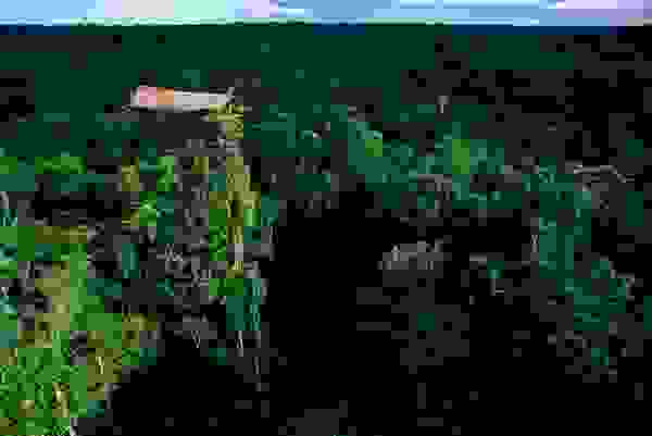 korowai1