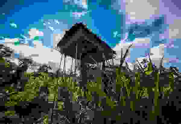 korowai3