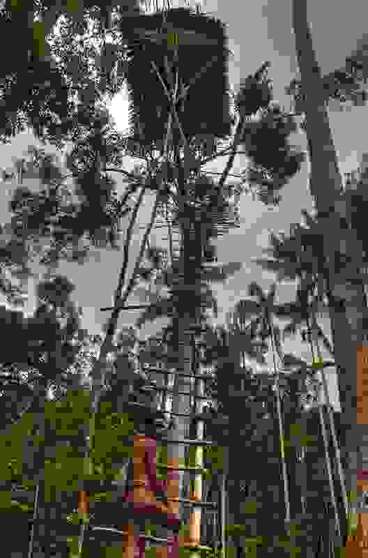 korowai6