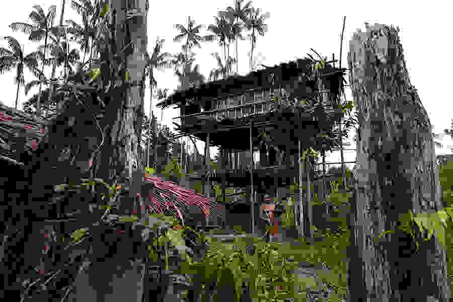 korowai8