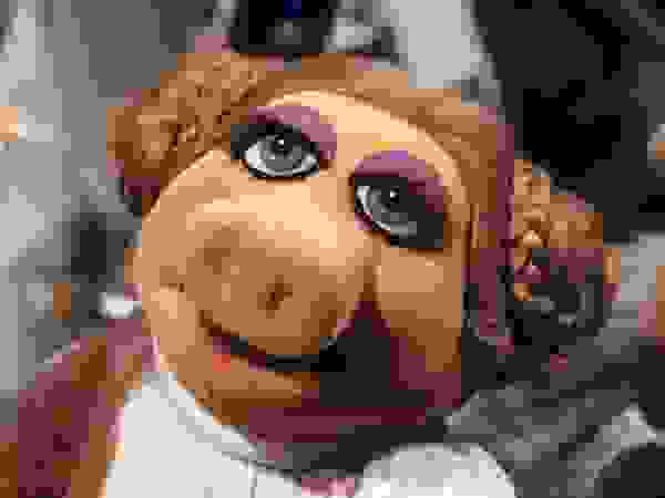 piggy16
