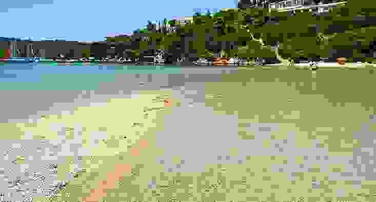 sivota