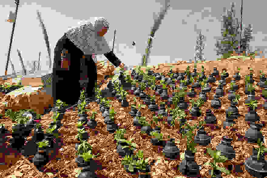 tear-gas-flower-pots-palestine-1