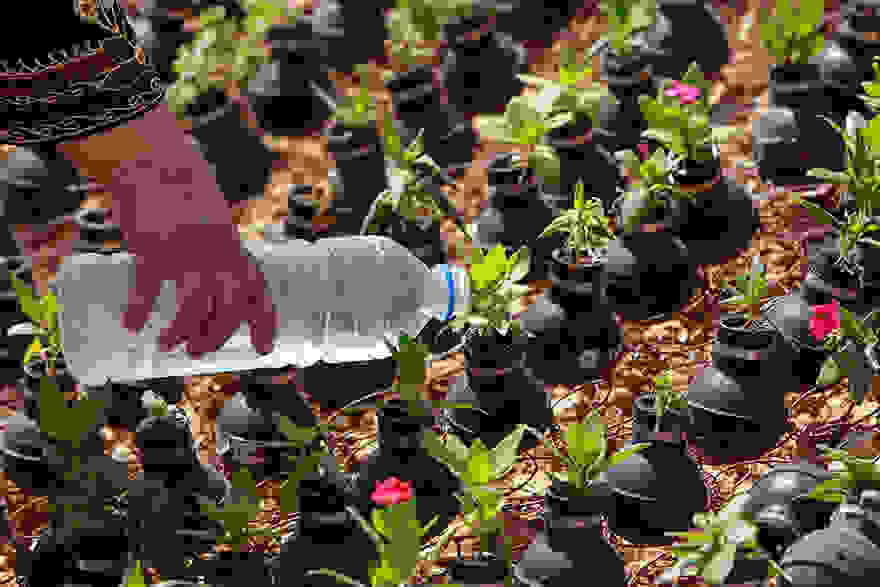 tear-gas-flower-pots-palestine-11
