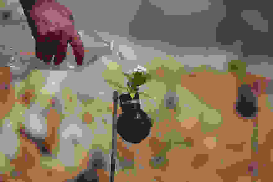 tear-gas-flower-pots-palestine-4