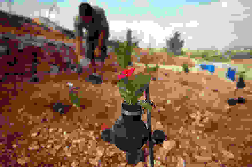 tear-gas-flower-pots-palestine-8