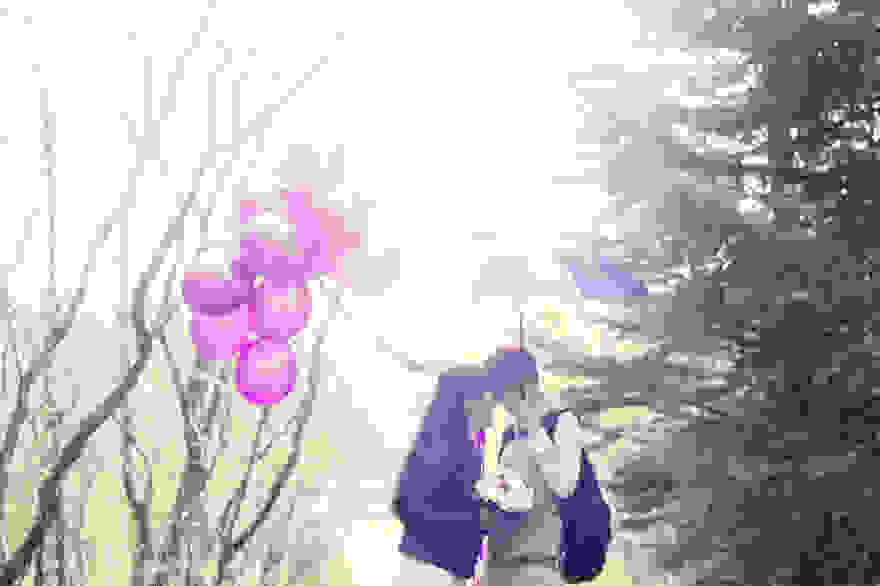 gay-wedding-iceland1.jpg