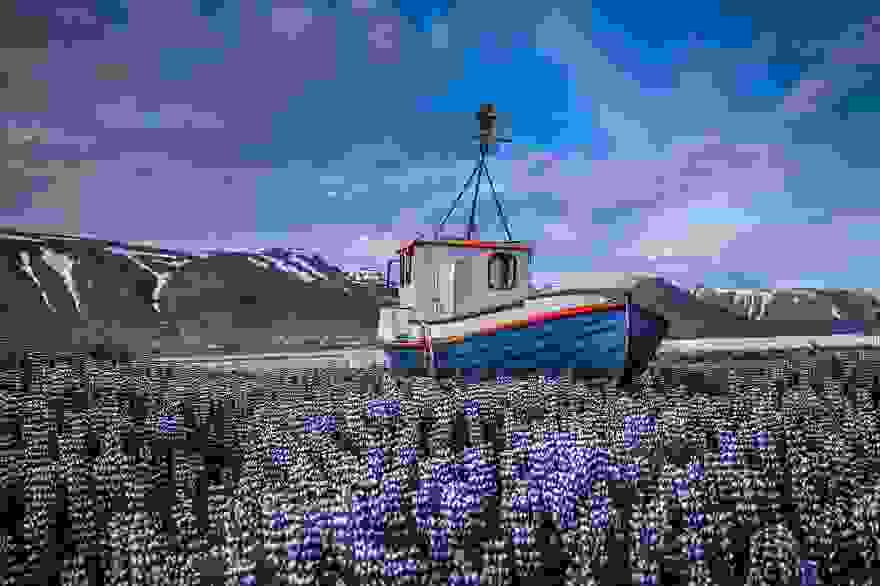 gia-na-kaneis-to-gyro-tou-kosmou5.jpg
