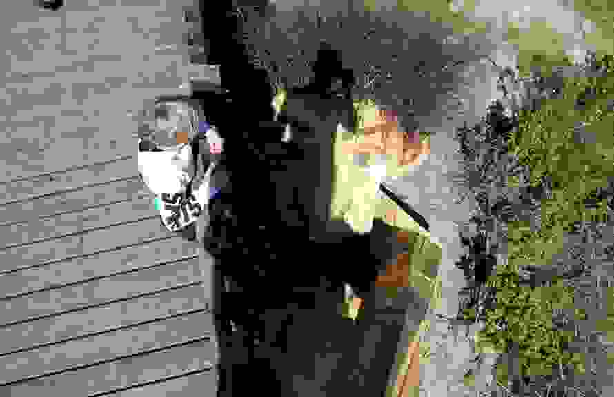 giant5.jpg