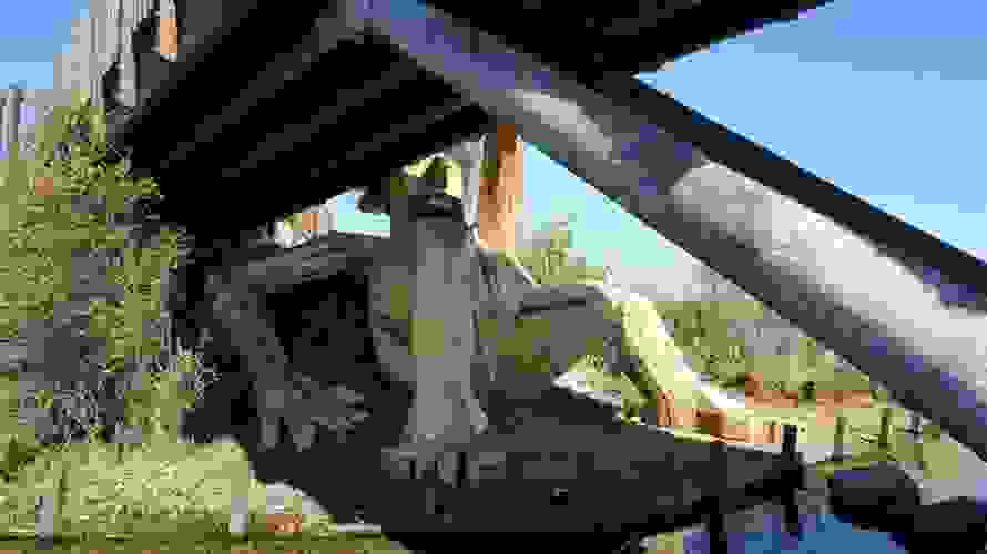 giant6.jpg