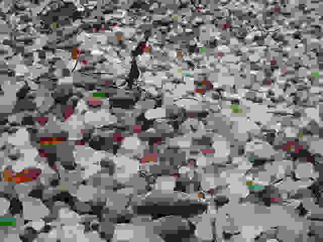 glass_beach_california_fort_bragg_11.jpg