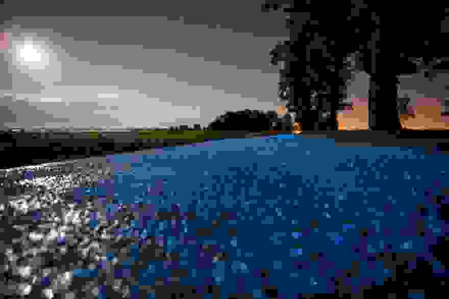 glowing-blue-bike-lane16.jpg